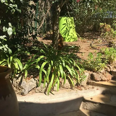 L'alcyon - Près De La - Parc Des Sallins Saint-Tropez